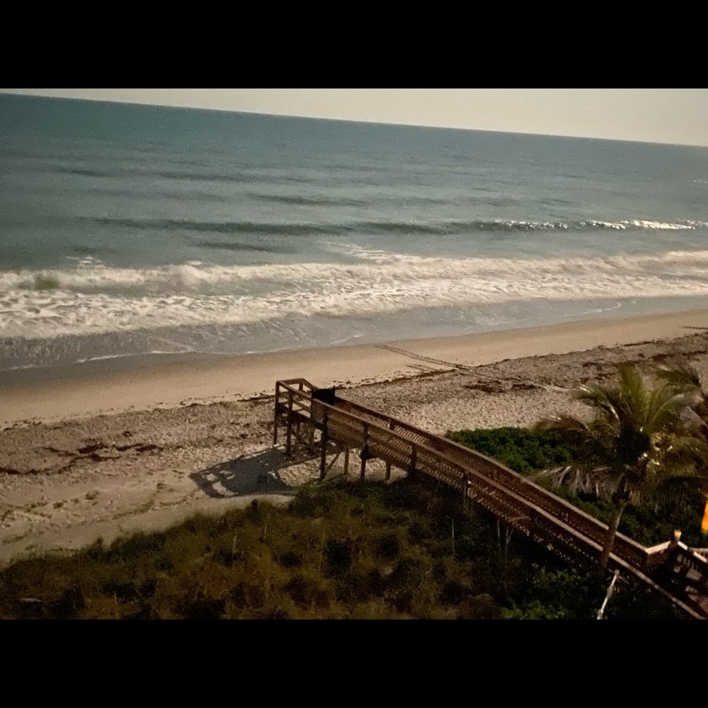 Meet your Posher, Phillip